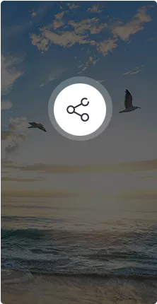 Ʒ������